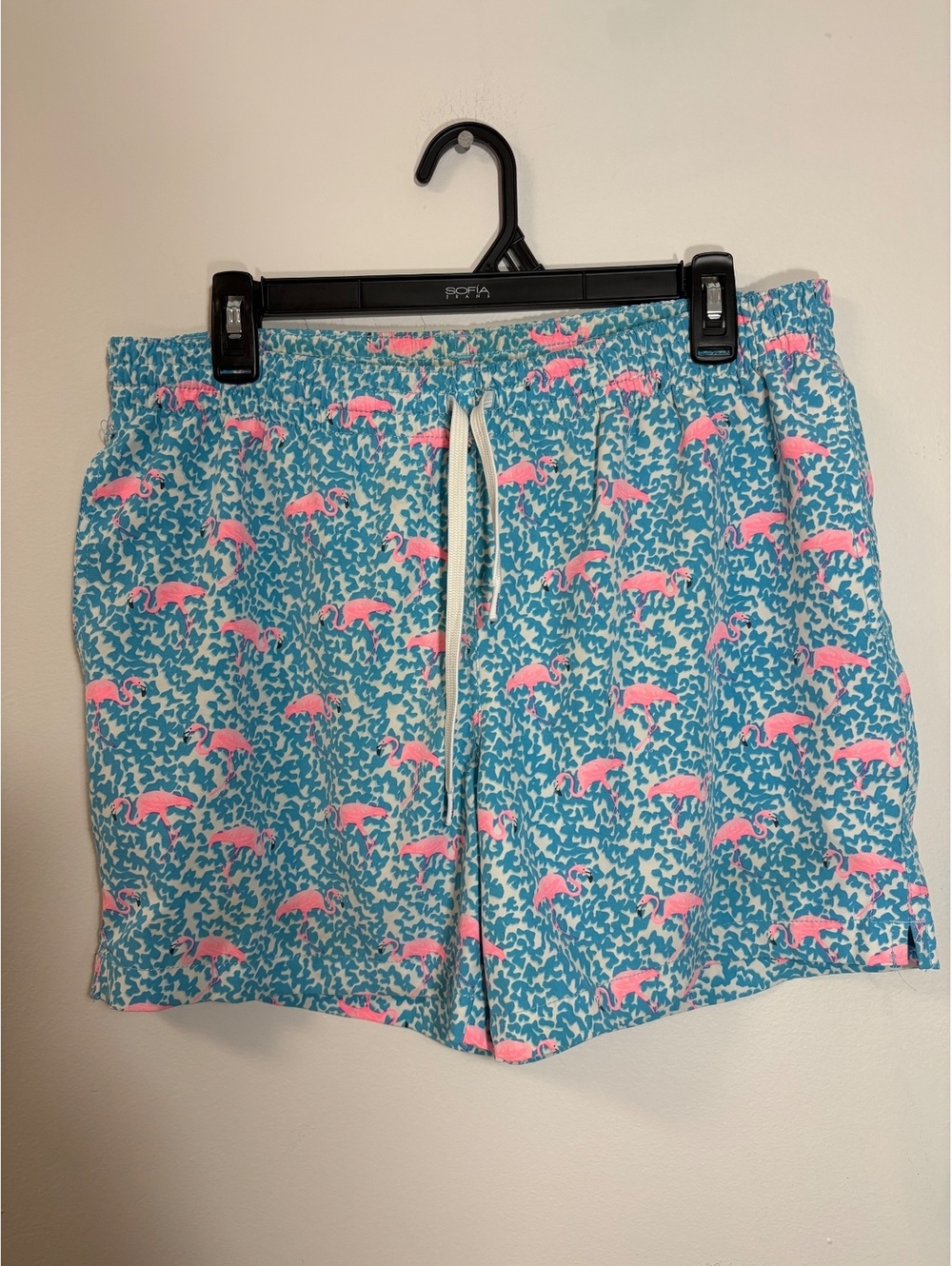 Men’s small Chubbies “The Domingos Are For The Flamingos” 5.5 inch inseam